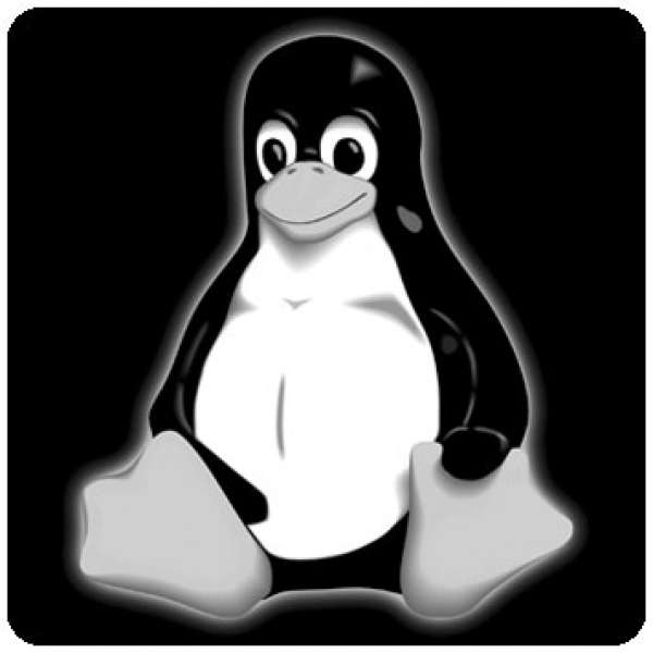 783_0_600x600@2x.jpg